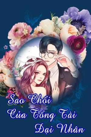 Sao Chổi Của Tổng Tài Đại Nhân 