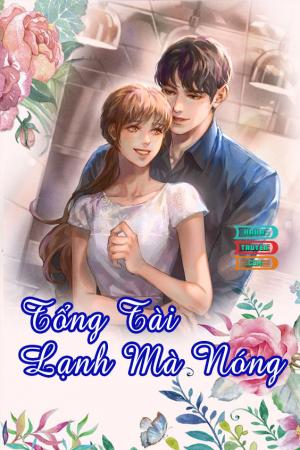 Tổng Tài Lạnh Mà Nóng 