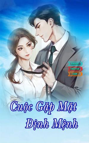 Cuộc Gặp Mặt Định Mệnh 