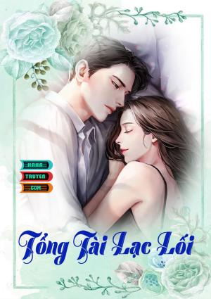 Truyện Ngôn Tình Tổng Tài Lạc Lối 