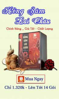Hồng Sâm Lai Châu Bao Khỏe (Chính Hãng)